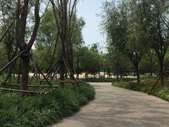 -东郊湿地公园