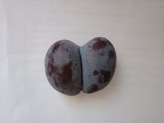 法兰克西梅-盒马鲜生(顺义店)