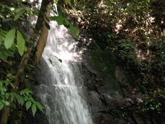 iphone_upload_pic-九溪烟树