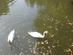 -长白岛森林公园