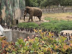 -西安秦岭野生动物园