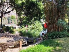 -成都市活水公园