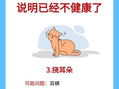 -美联众合动物医院·24h转诊中心
