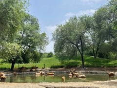 -北京野生动物园