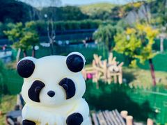 -沈阳森林动物园