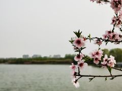 -大兴滨河森林公园