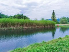 -良渚古城遗址公园