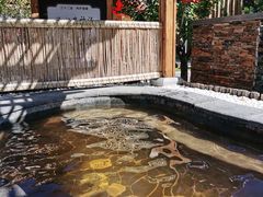 -白桦林温泉谷
