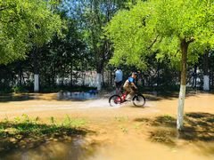 -永定河休闲森林公园