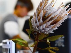 大堂-麻雀咖啡SPARROW COFFEE(十全街店)