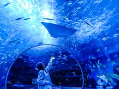 -海合安成都极地海洋公园
