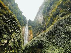 -通灵大峡谷