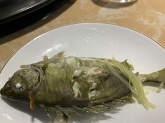 -海大大蒸汽海鲜餐厅·粤菜·特色小炒(欢乐颂店)