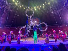 -俄罗斯国家大马戏团