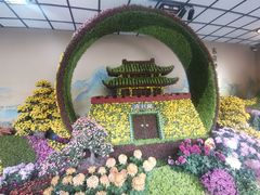 -杭州植物园