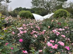 -人民公园(罗湖区)