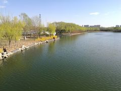 -大兴滨河森林公园