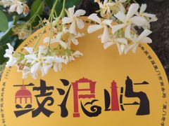 -龙头鱼丸店 只此一家只卖手工鲨鱼丸