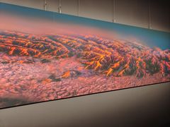 -罗红摄影艺术馆