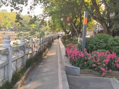 -罗记香霸头乌鱼庄(丹棱店)