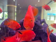 -江苏省人民医院(广州路院区)