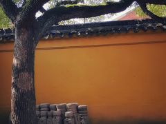 -西园戒幢律寺