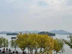 -楼外楼(西湖景区孤山路店)