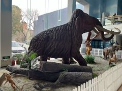 -中国第四纪冰川遗迹陈列馆