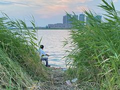 -天津东丽湖风景区