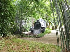 景点-晓港公园