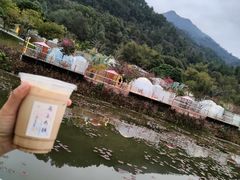 -南丹山森林王国