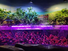 -梦幻海洋王国(吾悦广场张家港店)