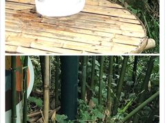 -都江堰中华大熊猫苑