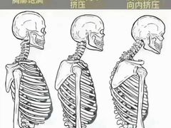 -体博士·疼痛调理·体态矫正·运动康复中心(大望路华贸店)