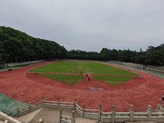 -武汉大学-樱园