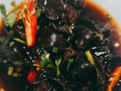 -探窝·竹笙椰子鸡(杨箕店)