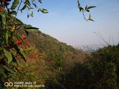-杭州半山国家森林公园