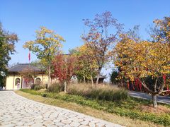 -游子山休闲旅游区