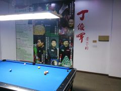 -丁俊晖台球俱乐部(海上海·弘基休闲广场店)