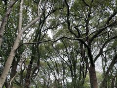-上海醉白池公园