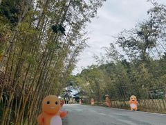 -婺源月亮湾