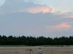 -日照海滨国家森林公园
