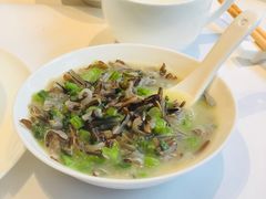 -芙蓉堂(武汉天地店)