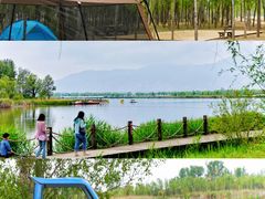 -野鸭湖国家湿地公园