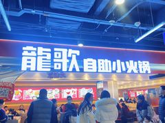 -龍歌自助小火锅(市北CBD万达店)