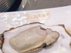 -乔哥铭洋海鲜自助(皇城恒隆广场店)