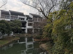 -和茶馆(西溪栖悦城店)