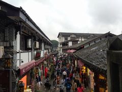 -陈建平麻花(磁器口总店)