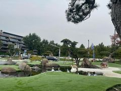 -罗红摄影艺术馆