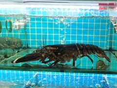 -覃记海鲜美食餐厅